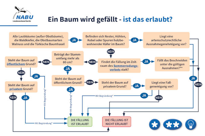 Baum FAQ - Grafik: Ruth Lankeit